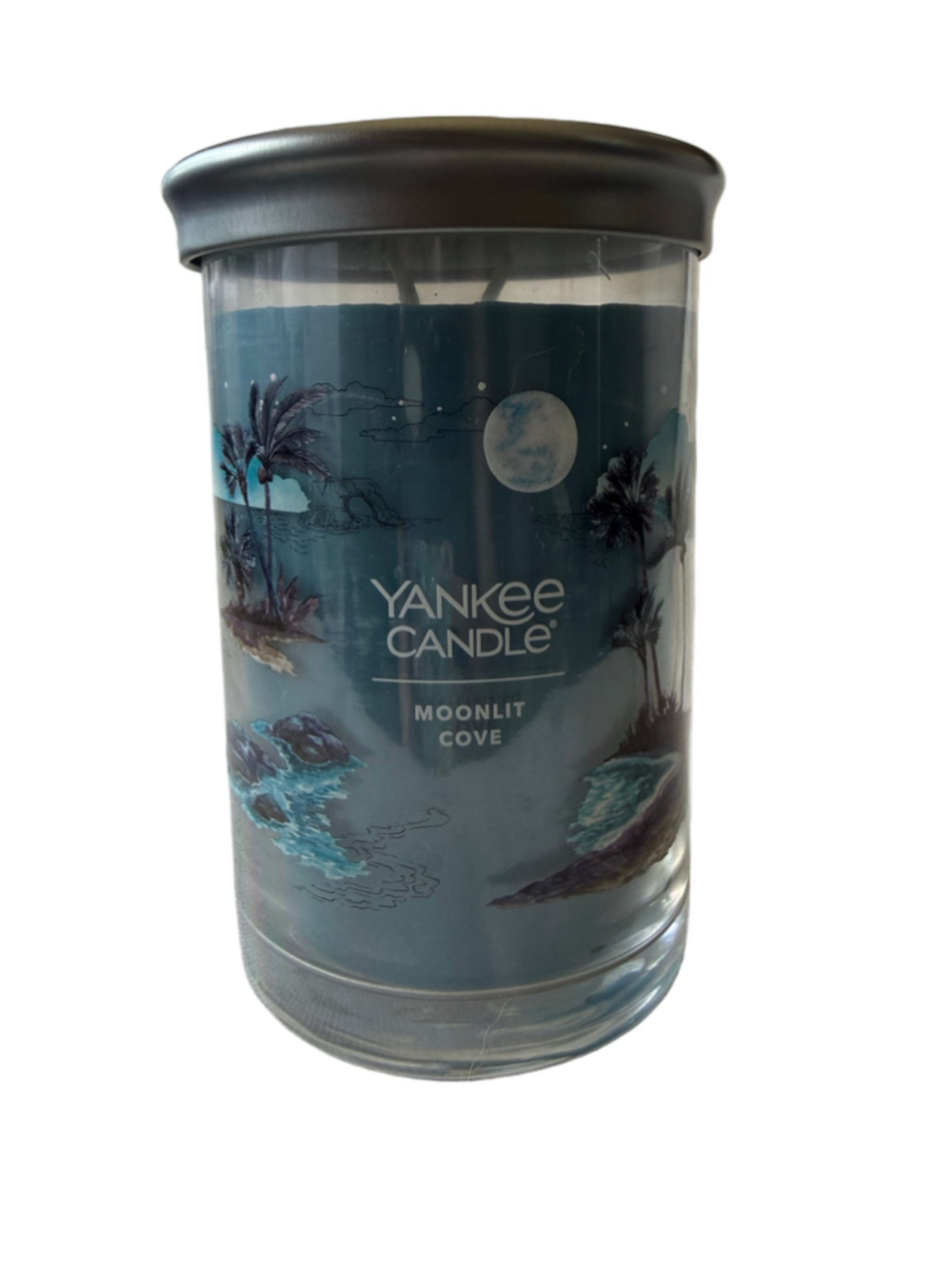 NEW Yankee Candle Large Jar Candle 20 oz Double Wick - 2 Wick Decorative